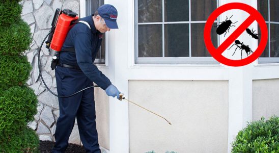Tutak Dezenfeksiyon böcek ilaçlama ve haşere kontrolü — ilaclama-tr.com